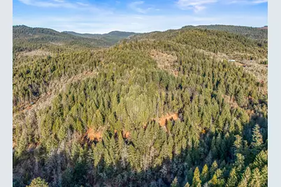 289 Elder Mill Road, Trail, OR 97541 - Photo 12