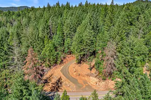 289 Elder Mill Rd, Trail, OR 97541 - Photo 1