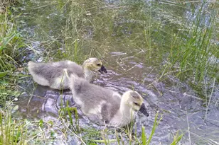 63425 Deschutes Market Rd, Bend, OR 97701 - Photo 44