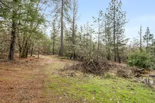 5675 Caves Hwy, Cave Junction, OR 97523 - Photo 16