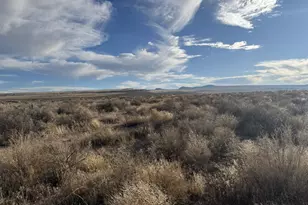 Oil Dri Rd, Christmas Valley, OR 97641 - Photo 2