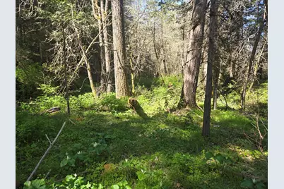 1065 Panther Gulch Road, Williams, OR 97544 - Photo 16