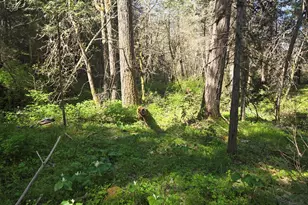 1065 Panther Gulch Rd, Williams, OR 97544 - Photo 16