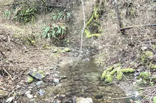 1065 Panther Gulch Rd, Williams, OR 97544 - Photo 12