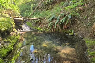 1065 Panther Gulch Rd, Williams, OR 97544 - Photo 2