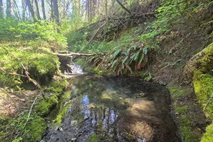 1065 Panther Gulch Rd, Williams, OR 97544 - Photo 14