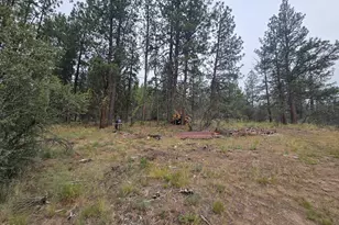 0 Partin Way, Beatty, OR 97621 - Photo 1