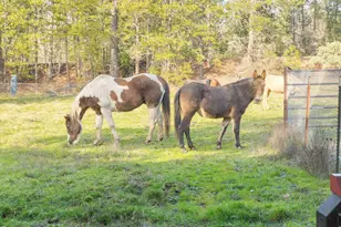 3990 Jerome Prairie Rd, Grants Pass, OR 97527 - Photo 40