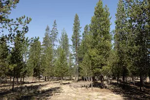 11511 Larchwood Dr, La Pine, OR 97739 - Photo 48