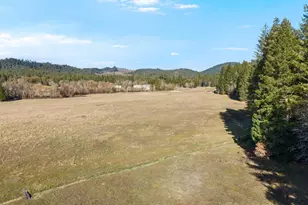 1491 Draper Valley Rd, Selma, OR 97538 - Photo 2