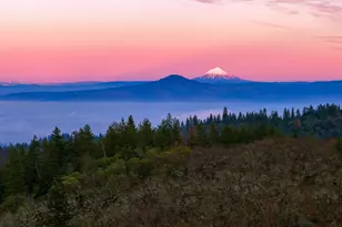 80 Placer Hill Dr, Jacksonville, OR 97530 - Photo 6