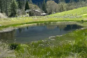 10250 Sterling Creek Rd, Jacksonville, OR 97530 - Photo 4