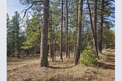 0 Seal Lane #8, Bonanza, OR 97623 - Photo 8