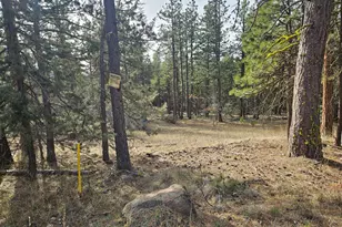 0 Seal Ln, Bonanza, OR 97623 - Photo 1