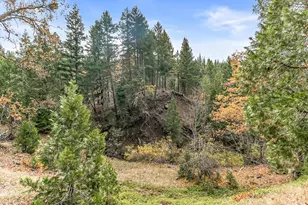 108 Baldy Creek Rd, Ashland, OR 97520 - Photo 18