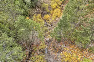 108 Baldy Creek Rd, Ashland, OR 97520 - Photo 20