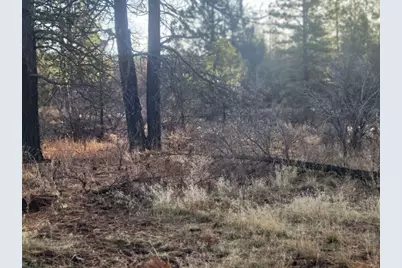 Block 106 #2, Bonanza, OR 97623 - Photo 6