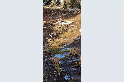 Merrill Road #TL 1800, Brothers, OR 97712 - Photo 14