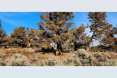 Merrill Road #TL 1800, Brothers, OR 97712 - Photo 10