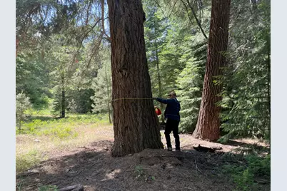 Franks Creek Road, Dayville, OR 97825 - Photo 1