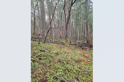 0 McMullen Creek Road #TL205, Selma, OR 97538 - Photo 6