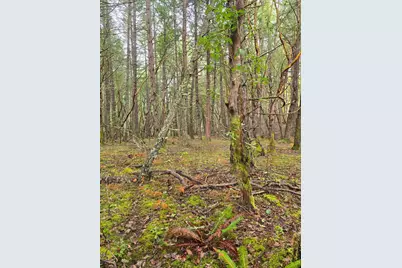 0 McMullen Creek Road #TL205, Selma, OR 97538 - Photo 10