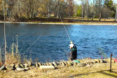 20055 Highway 62 #UNIT 49, Shady Cove, OR 97539 - Photo 4