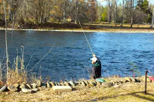 20055 Hwy 62, Shady Cove, OR 97539 - Photo 4
