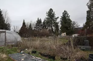 165 Neil Creek Rd, Ashland, OR 97520 - Photo 12