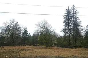5322 Rockydale Rd, Cave Junction, OR 97523 - Photo 1