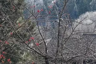 1399 NW Portland Ave, Bend, OR 97703 - Photo 6