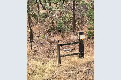 300 Arrowhead Pass, Jacksonville, OR 97530 - Photo 10