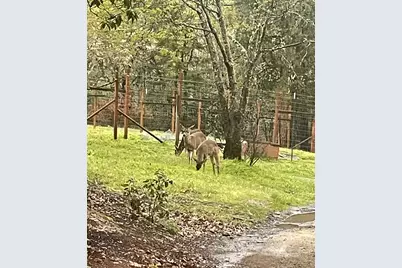 300 Arrowhead Pass, Jacksonville, OR 97530 - Photo 12