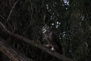 1601 Inverness Dr, Medford, OR 97504 - Photo 28