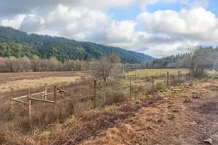 377 Fir Point Ln, Glendale, OR 97442 - Photo 48