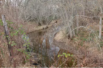 377 Fir Point Lane, Glendale, OR 97442 - Photo 64