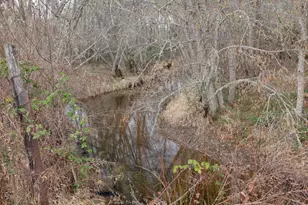 377 Fir Point Ln, Glendale, OR 97442 - Photo 64