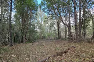 5000 Thompson Creek Rd, Applegate, OR 97530 - Photo 30