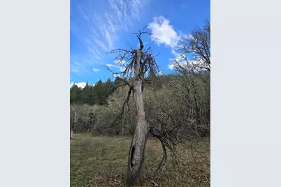5000 Thompson Creek Road, Applegate, OR 97530 - Photo 26