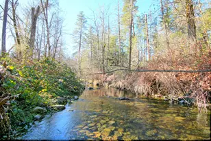 5000 Thompson Creek Rd, Applegate, OR 97530 - Photo 4