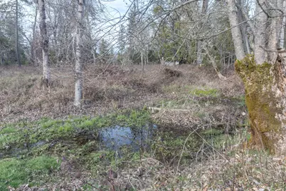 4420 Holland Loop Road, Cave Junction, OR 97523 - Photo 48