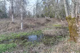 4420 Holland Loop Rd, Cave Junction, OR 97523 - Photo 48