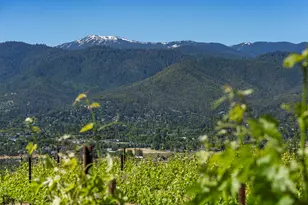 786 Pompadour Dr, Ashland, OR 97520 - Photo 20