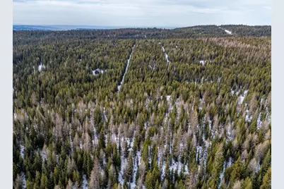 77667 Jack Pine Lane, Adams, OR 97810 - Photo 8