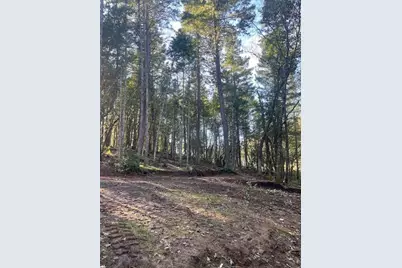 200 Hogue Drive, Selma, OR 97538 - Photo 8