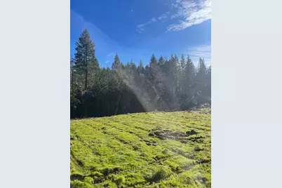 200 Hogue Drive, Selma, OR 97538 - Photo 12