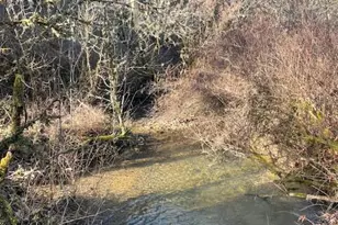 200 Hogue Dr, Selma, OR 97538 - Photo 1