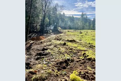 200 Hogue Drive, Selma, OR 97538 - Photo 4