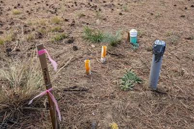 169 W Black Crater Avenue, Sisters, OR 97759 - Photo 4