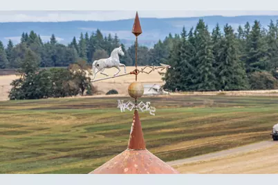 39986 Gisler Road, Scio, OR 97374 - Photo 36